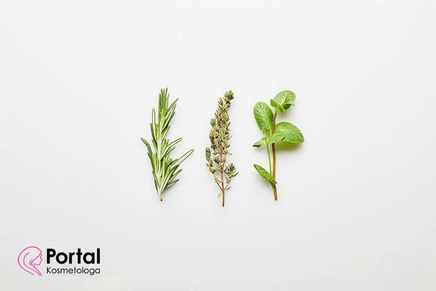 Zioła na urodę