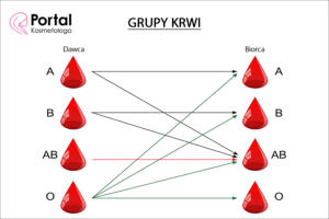 Grupy krwi