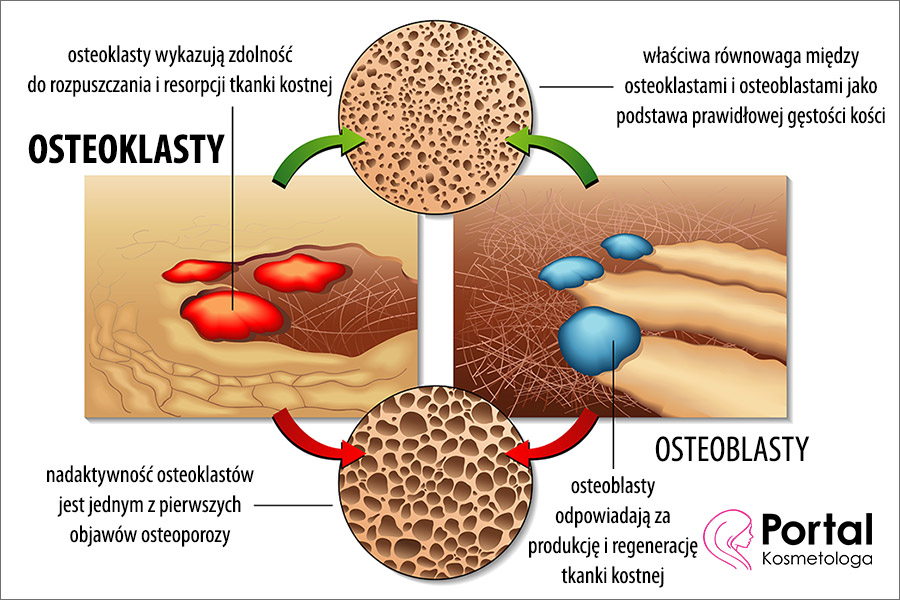 Osteoklasty