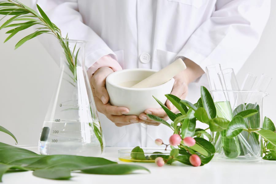 Dlaczego organizm człowieka reaguje na substancje zawarte w roślinach i ziołach ?