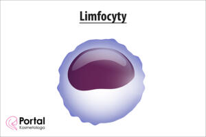 Limfocyty