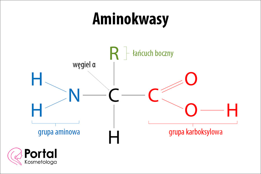 Aminokwasy