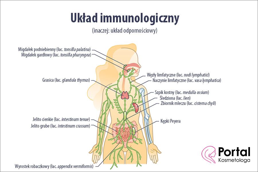 Układ immunologiczny