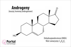 Androgeny