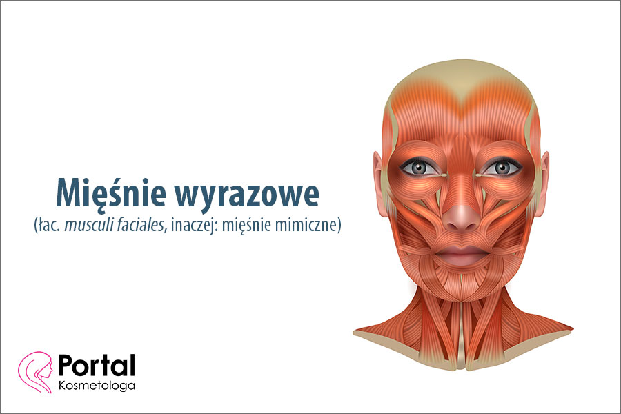 Mięśnie wyrazowe