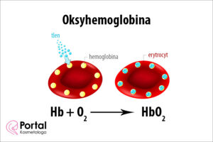 Oksyhemoglobina