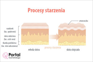 Procesy starzenia