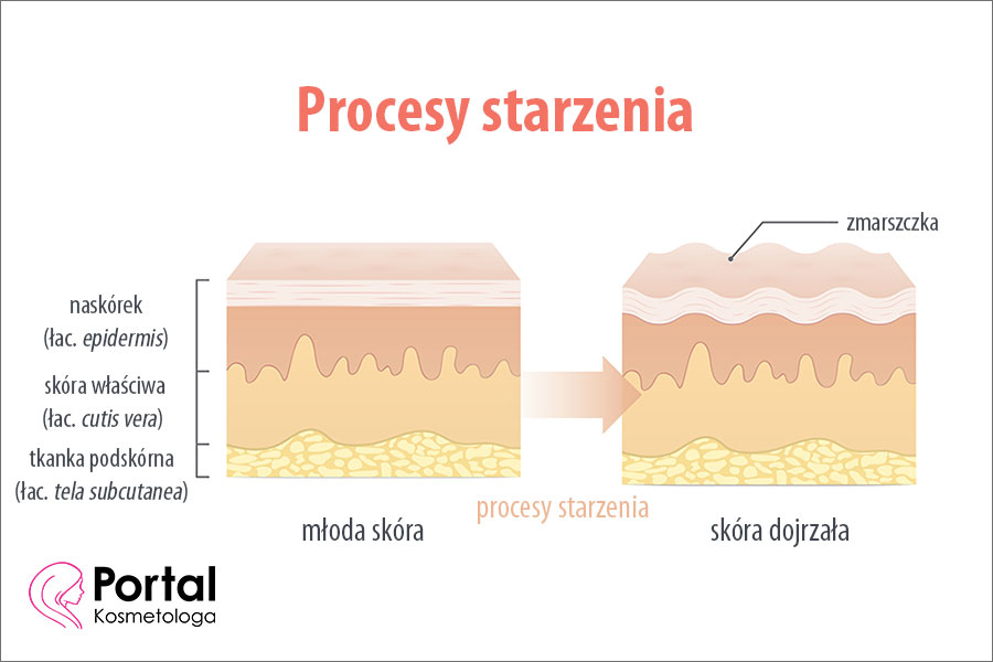 Procesy starzenia