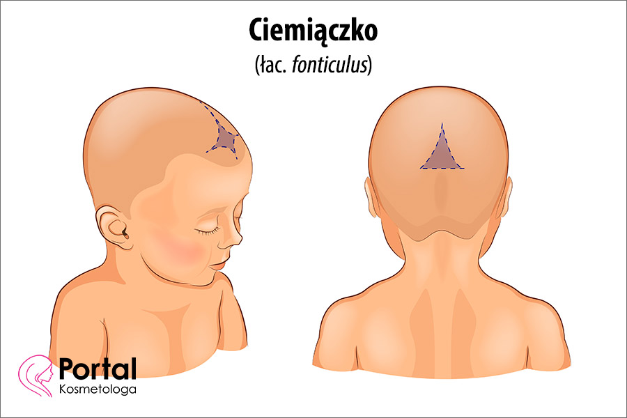 Ciemiączko (łac. fonticulus)