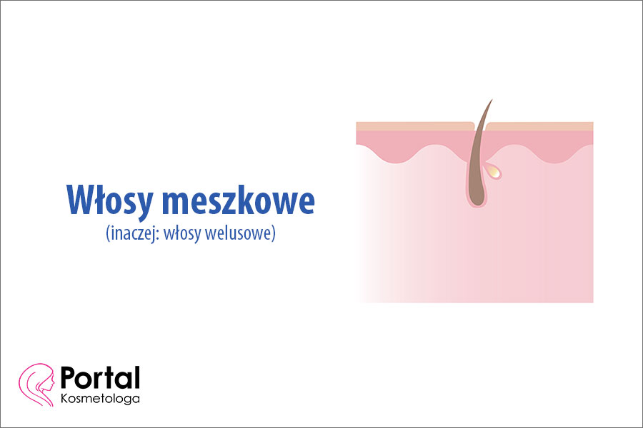 Włosy meszkowe