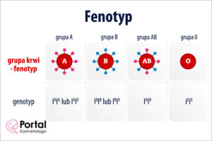 Fenotyp