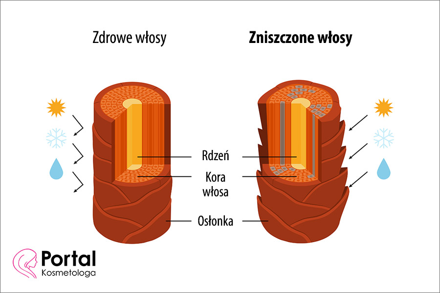 Zniszczone włosy