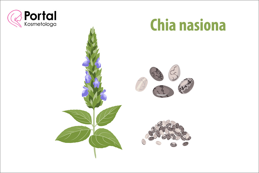 Chia nasiona