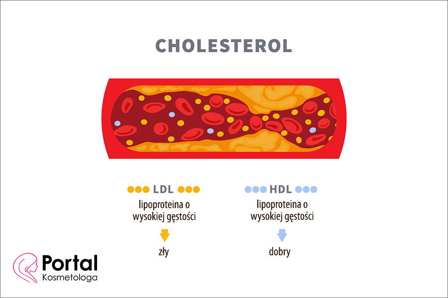 Cholesterol HDL i LDL
