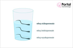 Włosy niskoporowate