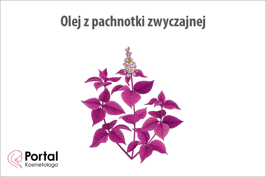 Olej z pachnotki zwyczajnej