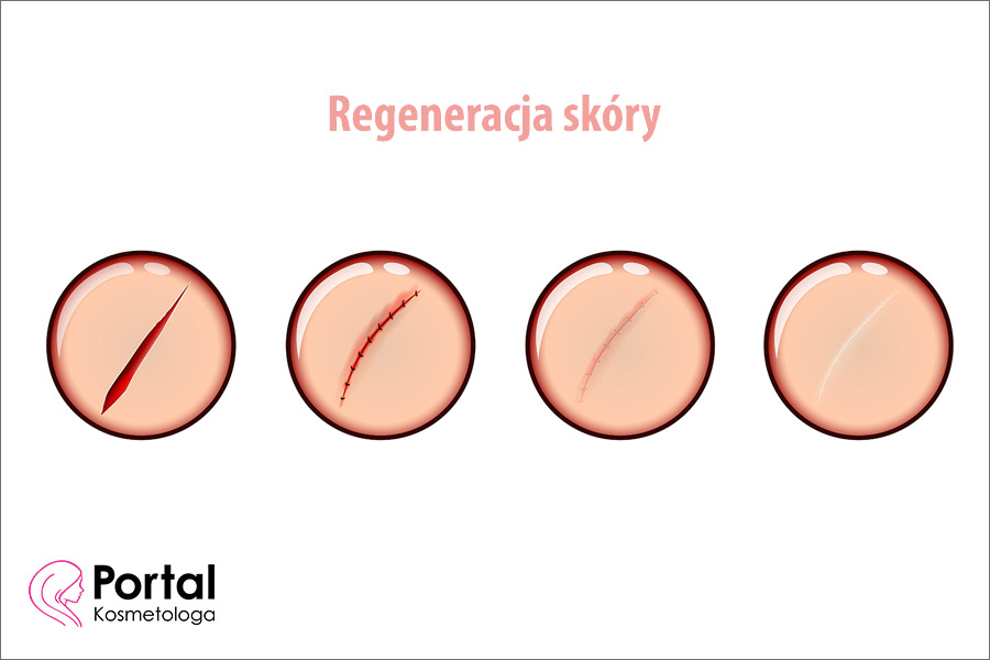 Regeneracja skóry