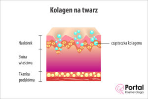 Kolagen na twarz