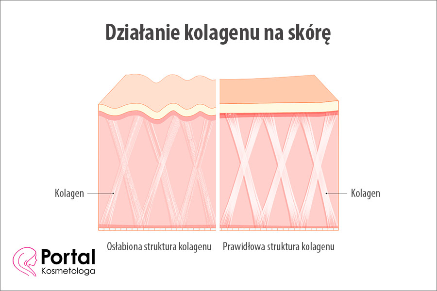 Działanie kolagenu na skórę