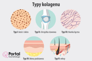 Typy kolagenu