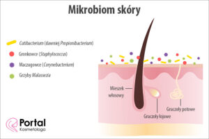 Mikrobiom skóry