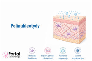 Polinukleotydy