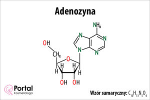Adenozyna
