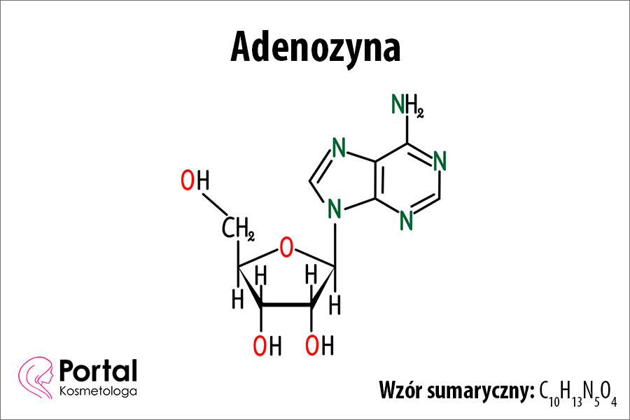 Adenozyna