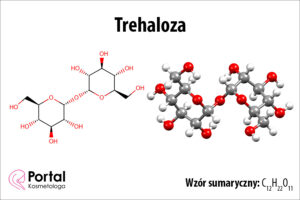 Trehaloza w kosmetykach