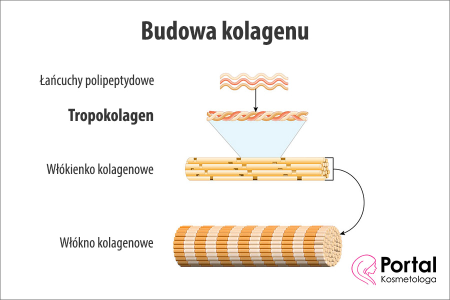 Tropokolagen